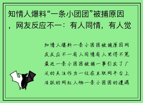 知情人爆料“一条小团团”被捕原因，网友反应不一：有人同情，有人觉得“不冤”